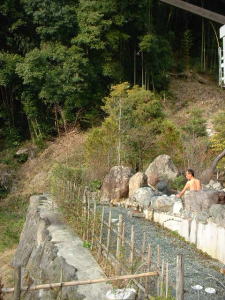対面には雑木林
