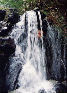 Ȏ