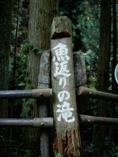 ひえ〜〜、怖そ〜〜な滝ぃ〜〜