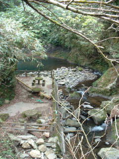 休憩地に横たわる流木!!