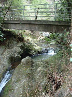 残念無念・・・