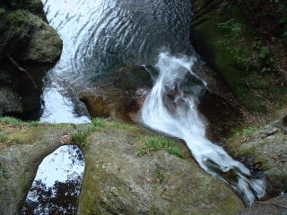 下から眺めたかったなや〜〜