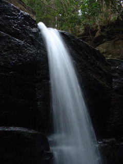 ���肵�ċC������������