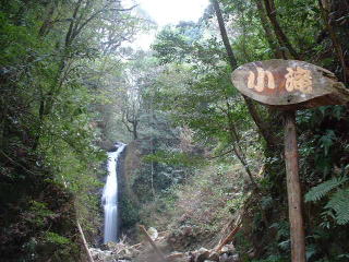 �x�e������E�E���؂��E�E�E