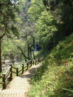 遊歩道から見えてくる鹿目の滝