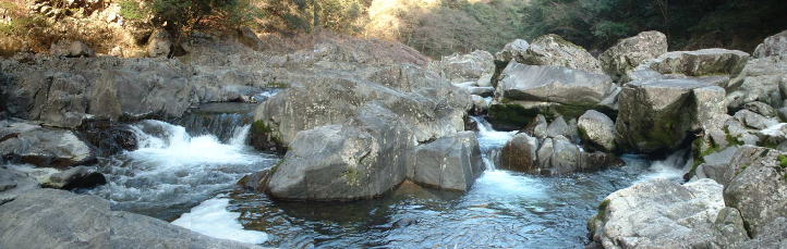 勬eQ